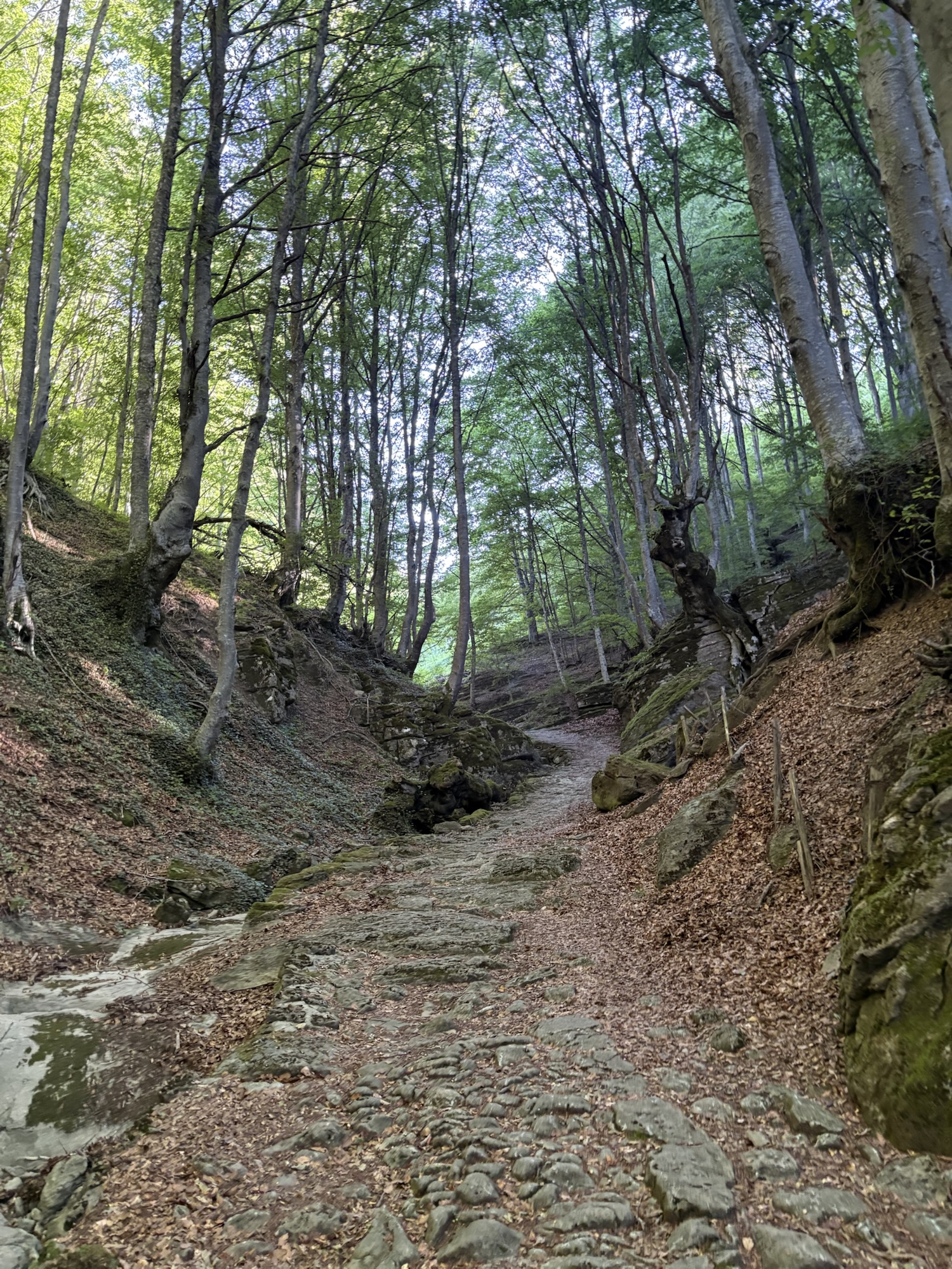 Picture from my hike in Italy this summer.